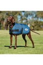 2022 Weatherbeeta Comfitec Classic Dog Coat 1001617 - Dark Blue